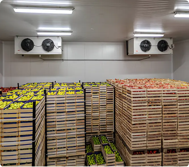 Cold Storages Supplier in KSA